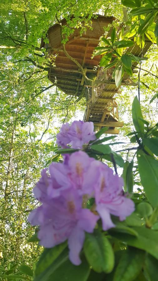 Le Domaine De Wail - Legends Resort Pokoj fotografie